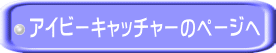 アイビーキャッチャーのページへ