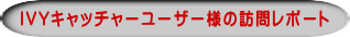 IVYキャッチャーユーザー様の訪問レポート  