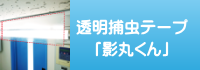 透明捕虫テープ「影丸くん」