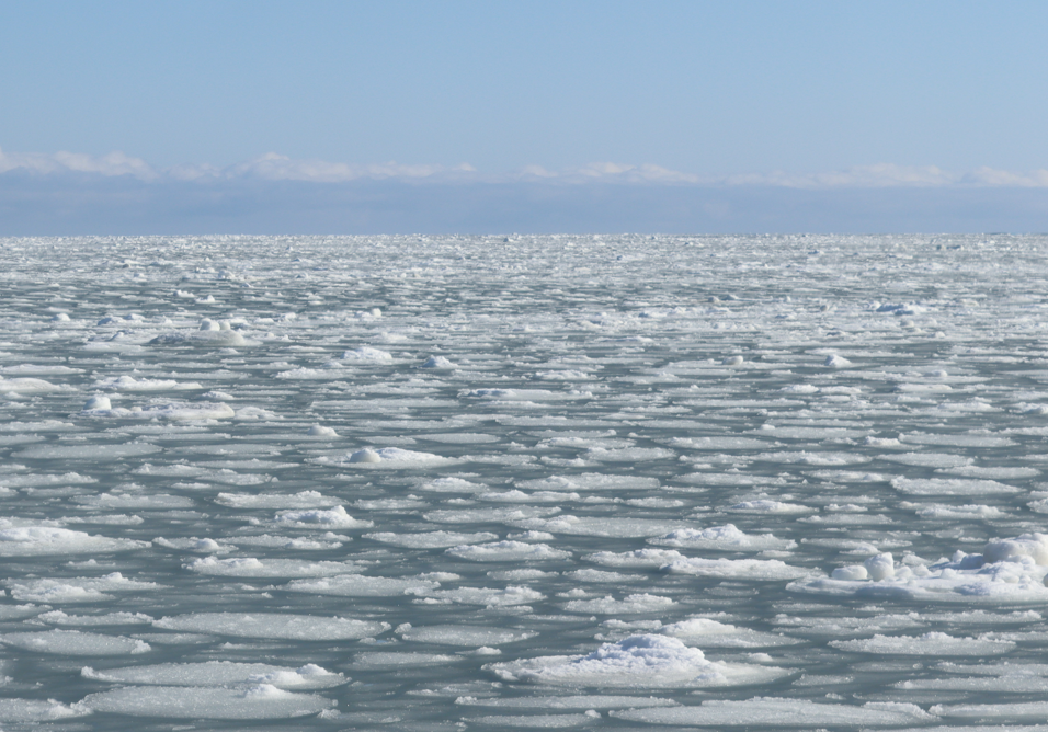 紋別の流氷