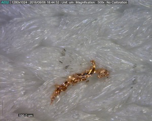 顕微鏡で拡大された銅の異物