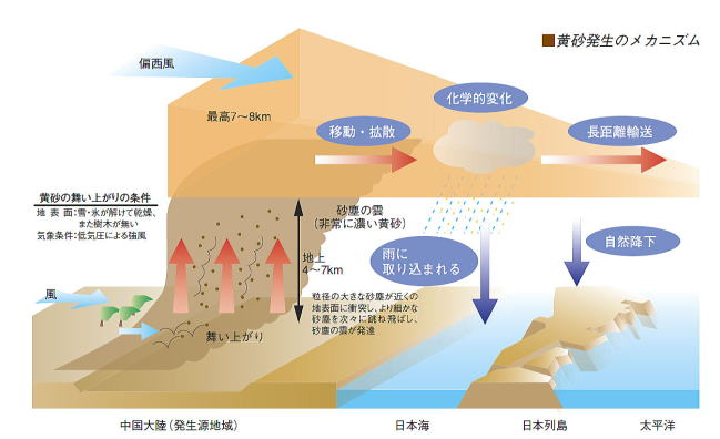 大気汚染と粒子