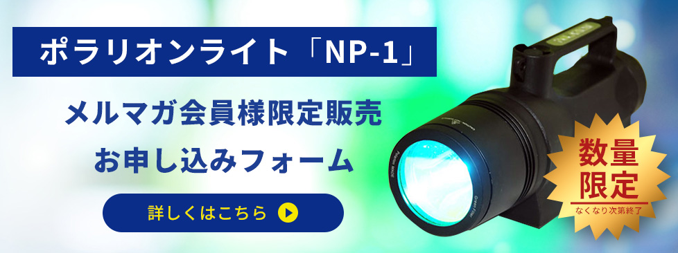 フォームはこちら