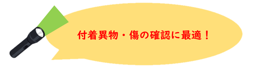 ¥³¥á¥ó¥È£´